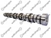 Camshaft / 1000 290 003