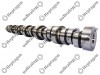 Camshaft / 8000 290 005