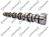 Camshaft / 8000 290 007