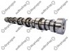 Camshaft / 8000 290 010