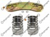 CALIPER SPRING & PLATE SET / 9054 151 128 / HALDEX  92731