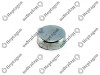 CALIPER PIN CAP / 9104 120 079 / BPW: 02.0601.19.00,  0206011900