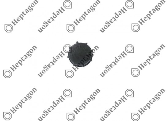 Expansion Tank Cap / 1000 501 006