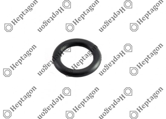 O-RING / 3004 131 048