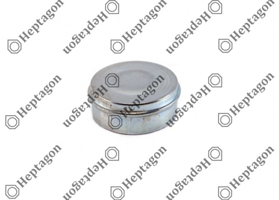 CALIPER PIN CAP / 3004 131 057