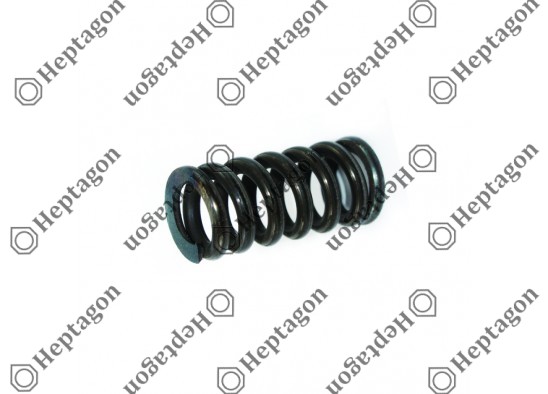 SHAFT HOUSING SPRING / 3004 131 081