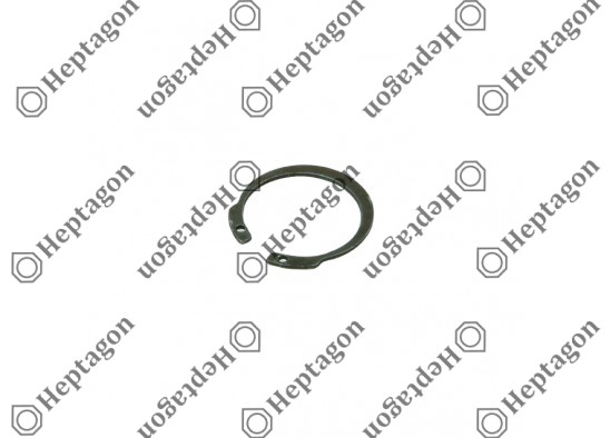 CALIBRATION BOLT RING / 3004 131 082