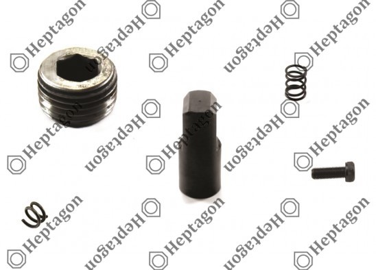 CALIPER REPAIR KIT / 3004 131 179