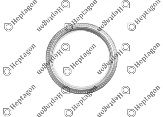 ABS SENSOR RING  / 4004 631 006 / 9733561015