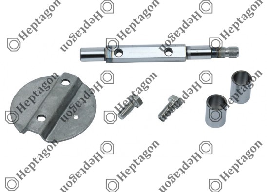 Throttle Housing Repair Kit / 4005 030 009