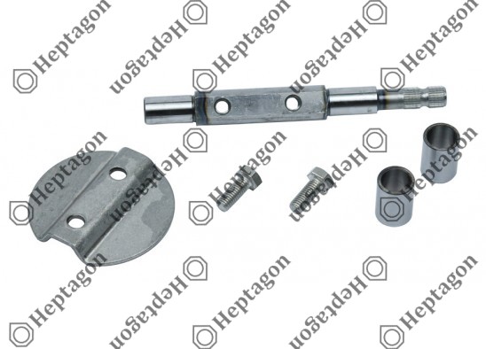 Throttle Housing Repair Kit / 4005 030 010