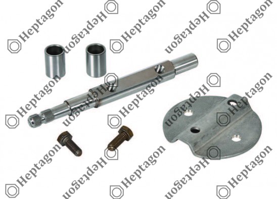 Throttle Housing Repair Kit / 4005 030 011