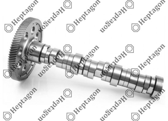 Camshaft / 6000 290 001