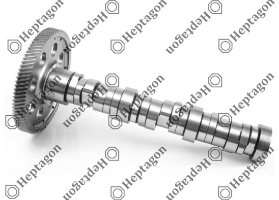 Camshaft / 6000 290 003