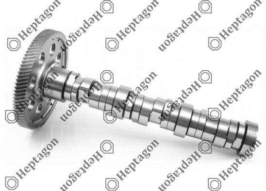 Camshaft / 6000 290 004