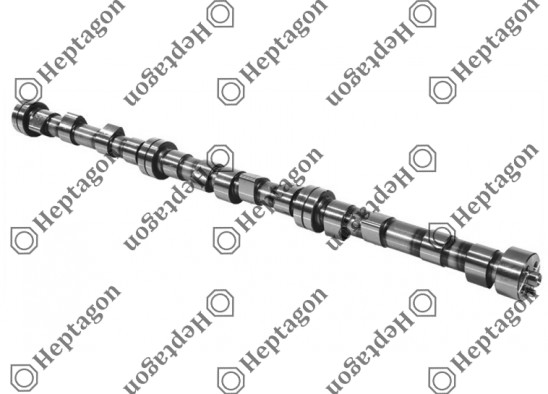 Camshaft / 6000 290 005