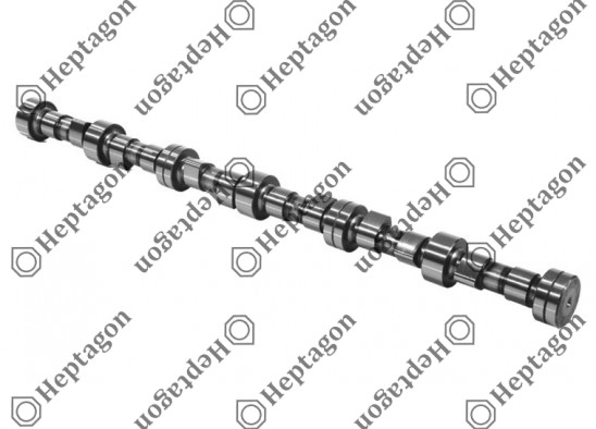 Camshaft / 6000 290 006