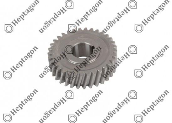 Water Pump Gear / 7000 471 007