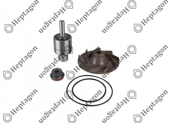 Water Pump Repair Kit / 8000 471 002