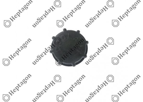 Expansion Tank Cap / 8000 501 016