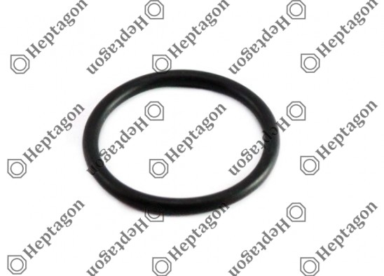 O-RING / 9004 161 008