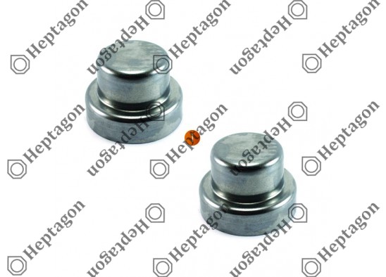 PIN CAP SET / 9054 151 121 / HALDEX  89927