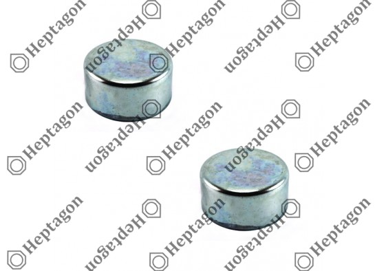 PIN CAP REPAIR KIT / 9054 151 122 / HALDEX  91019