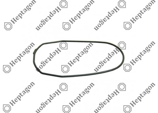 CALIPER PLASTIC COVER GASKET / 9104 120 053