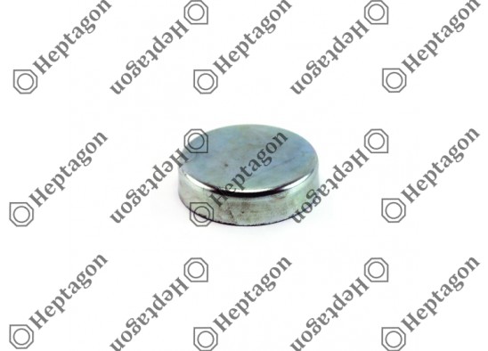 CALIPER PIN CAP  / 9104 120 071