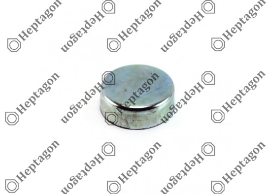 CALIPER PIN CAP / 9104 120 079 / BPW: 02.0601.19.00,  0206011900