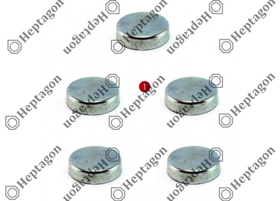CALIPER PIN CAP SET / 9104 120 096