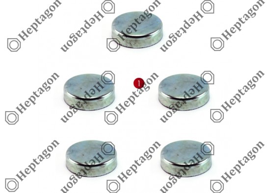 CALIPER PIN CAP SET / 9104 120 096