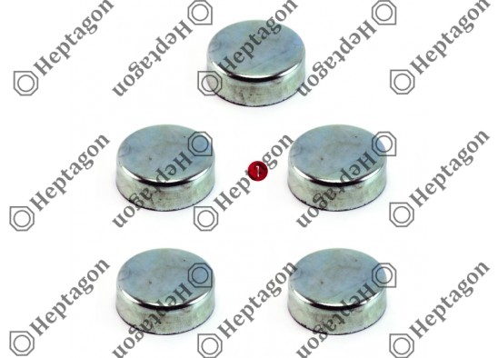 CALIPER PIN CAP SET / 9104 120 097