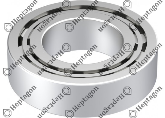 Roller Bearing / 9304 820 008