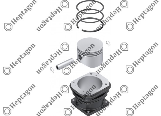 Cylinder Liner Set / 9304 830 023