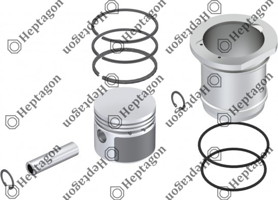 Cylinder Liner Set (Ø60.00 mm) / 9304 830 029