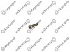 BOLT / 3004 131 021